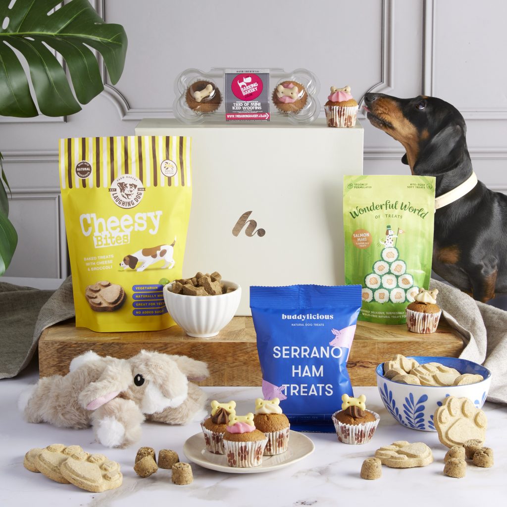 new gift hamper for dogs - the pawsome treats dog hamper